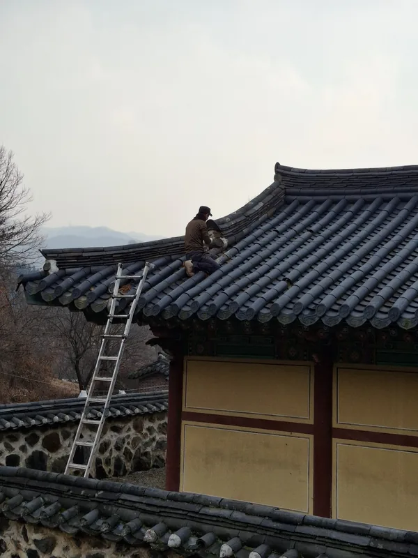 한옥기와 부분수리 작업 과정 작업자가 사다리로 접근해 손상된 한옥기와와 마루 주변을 정리하는 부분수리 과정
