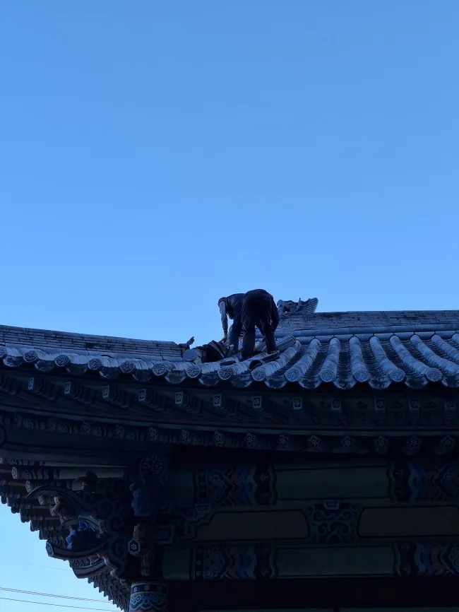 한식기와수리 시공 전 오래된 한식기와 지붕의 용마루 흙마감 탈락과 기와 벌어짐 사진