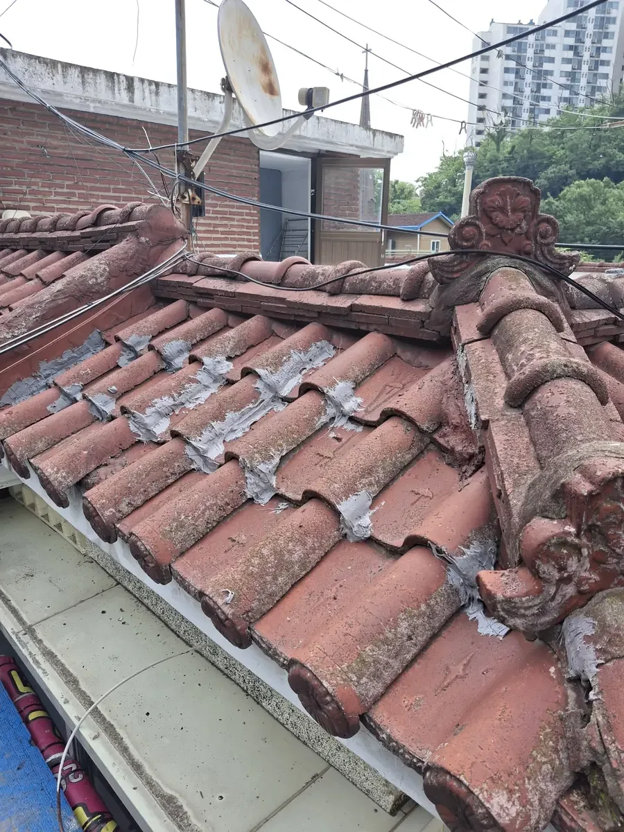 들뜬기와고정 시공 후 들뜬기와고정 시공 후 현장 사진