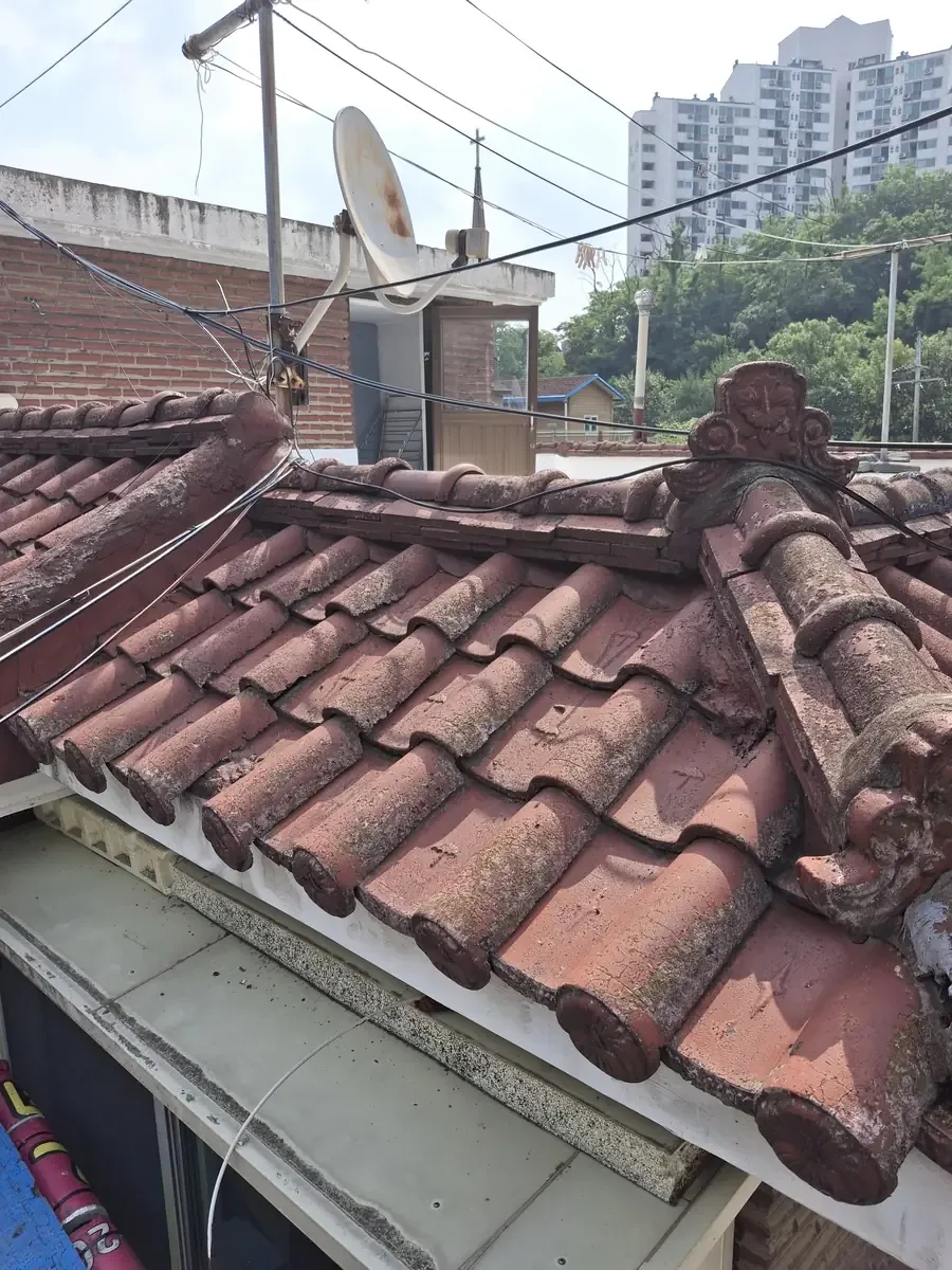 들뜬기와고정 시공 전 들뜬기와고정 시공 전 현장 사진