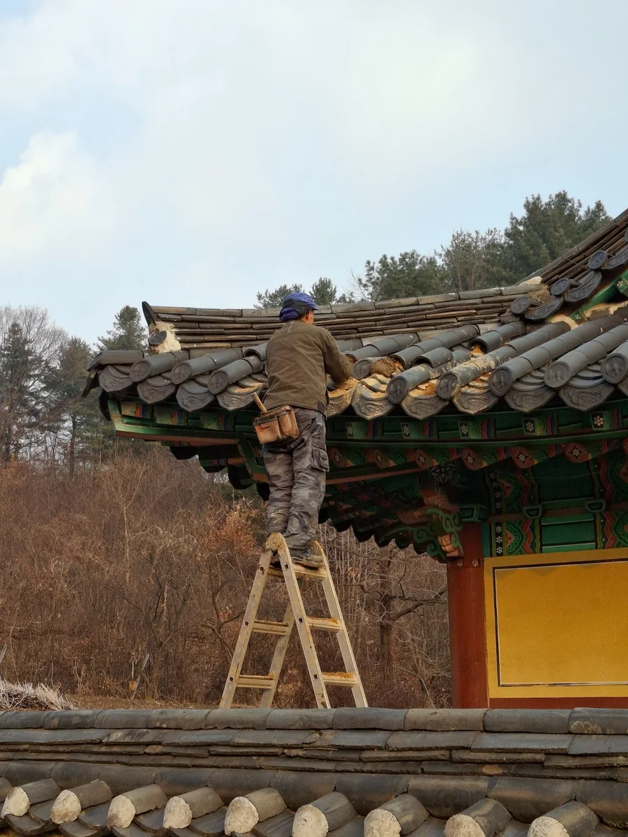 처마 쪽 기와를 들어내 아래 흙마감과 기와 배열을 확인하는 작업 구간